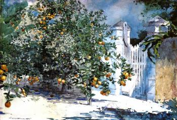 Winslow Homer : Orange Tree Nassau aka Orange Trees and Gate